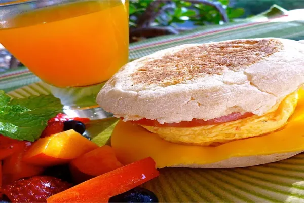 Omelet in a Mug